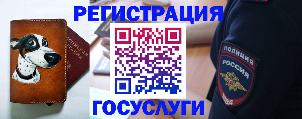 временная регистрация в квартире в Советской Гавани